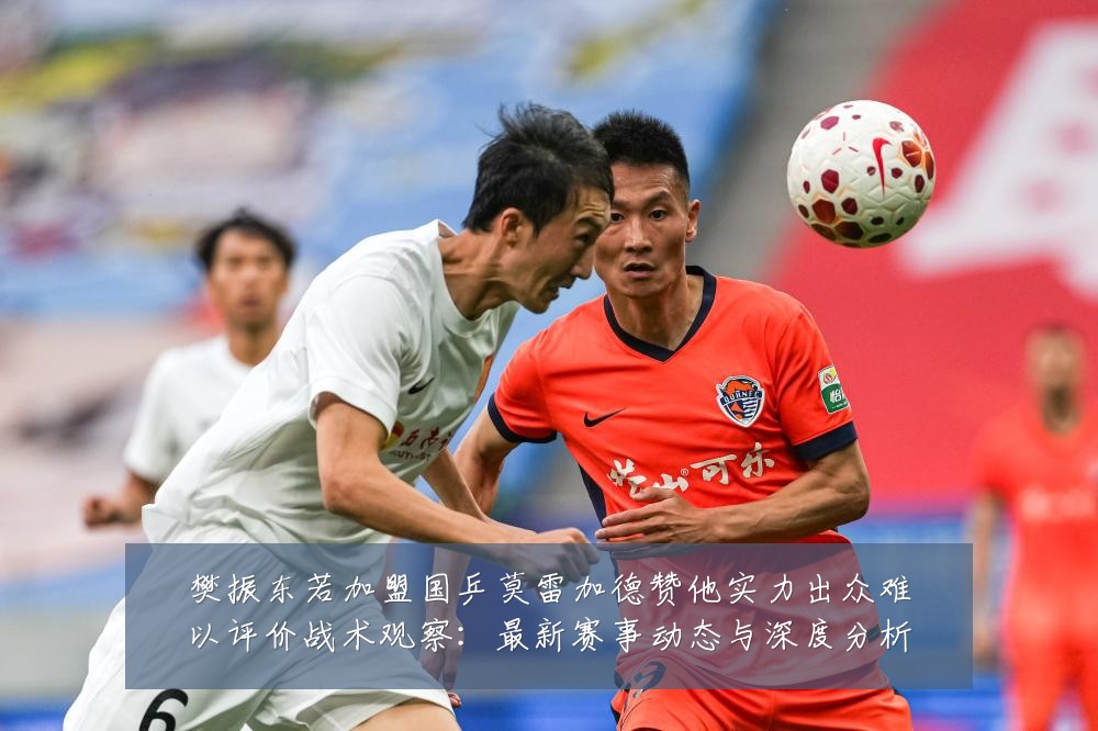 樊振东若加盟国乒莫雷加德赞他实力出众难以评价战术观察:最新赛事动态与深度分析